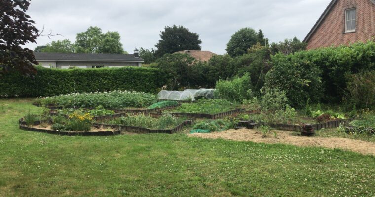 Een mid-season kijkje in de moestuin